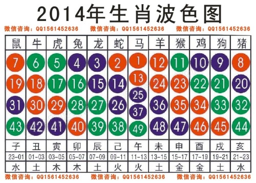 新闻 第211页