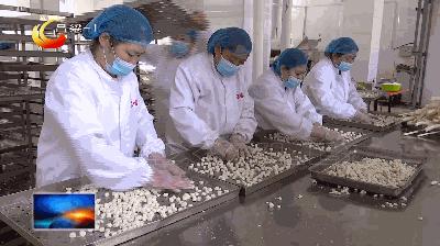 离石坪头乡最新新闻
