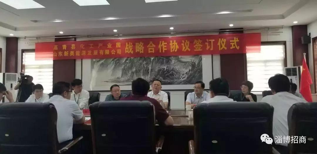 新奥最精准免费大全,新奥最精准免费大全，探索智慧能源的引领者