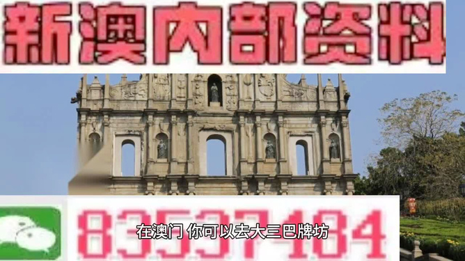 新澳内部高级资料,新澳内部高级资料详解