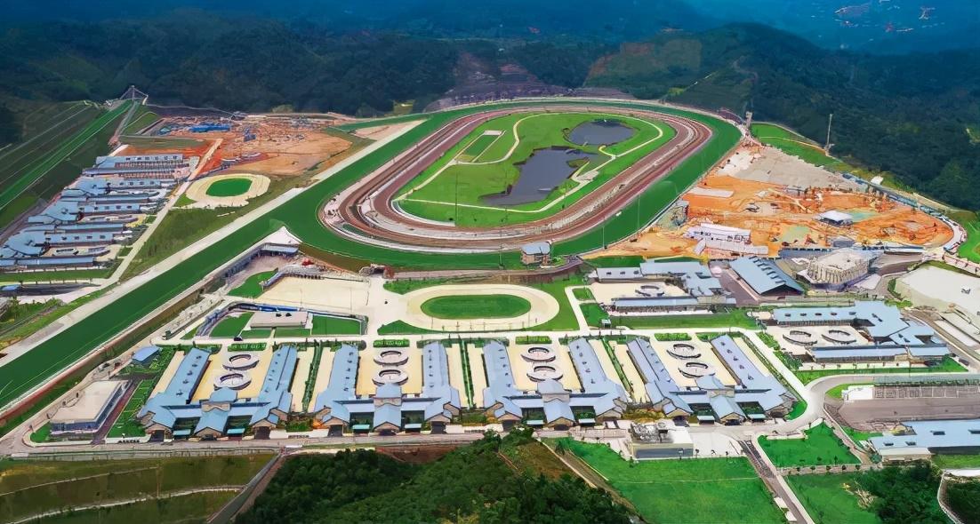 2025香港今期开奖号码马会,探索香港马会彩票，2025年今期开奖号码预测与解析