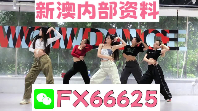 管家婆期期四肖四码中,管家婆期期四肖四码中的奥秘与探索