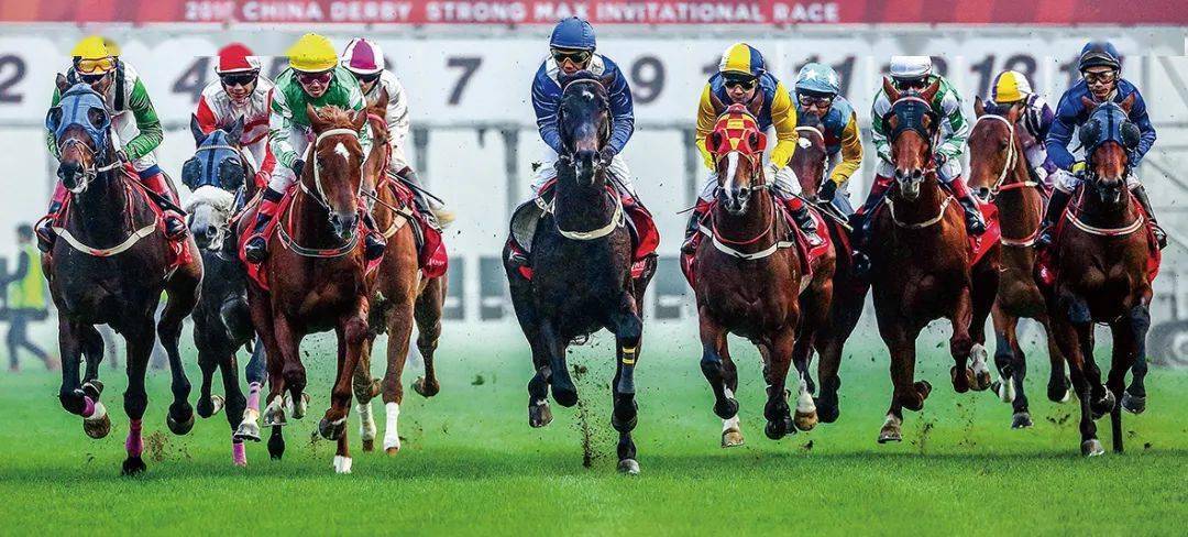 2025今晚香港开特马,香港赛马文化，探索特马赛事的魅力与未来展望（关键词，今晚香港开特马）