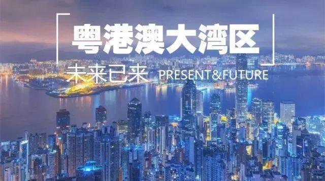 新澳门2025今晚开什么,新澳门2025今晚开什么，探索未知的彩票世界