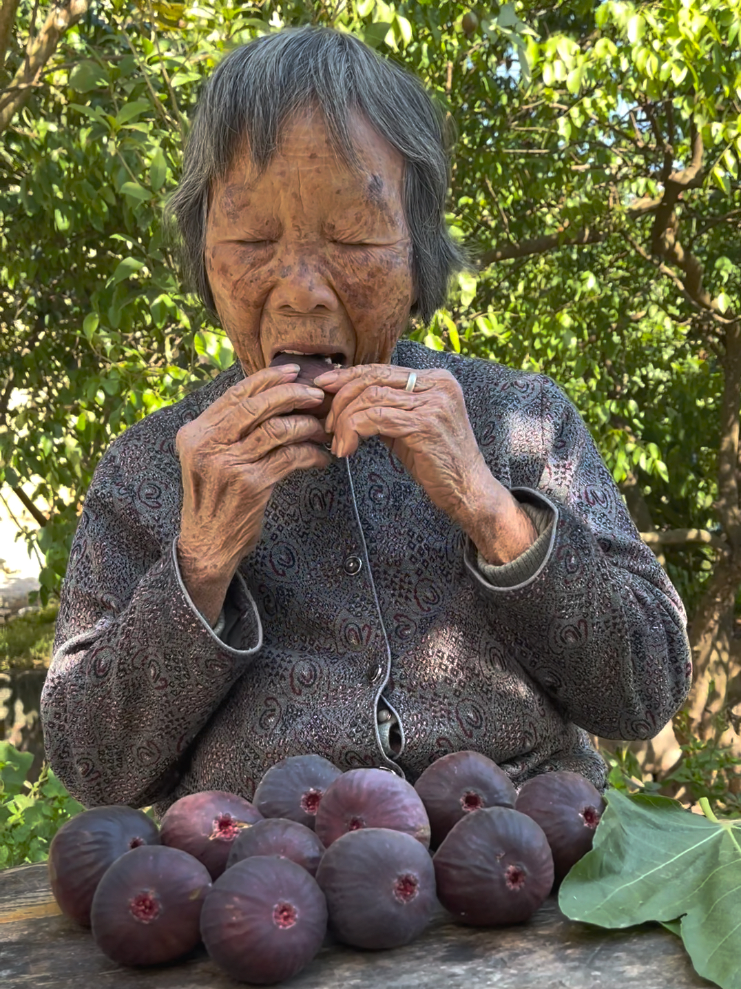 澳门水果奶奶,澳门水果奶奶，鲜果飘香中的温情故事