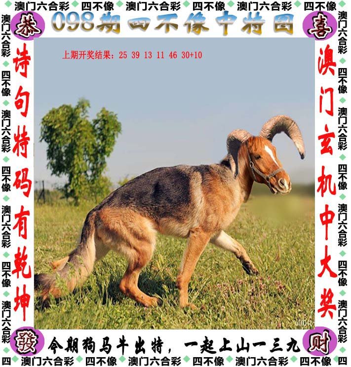 今期四不像彩图片,今期四不像彩图片的独特魅力与艺术探索