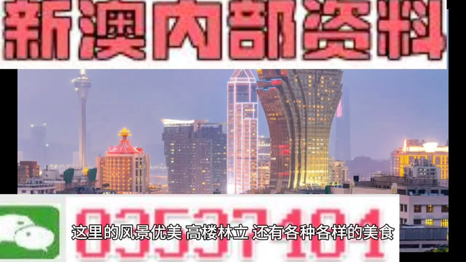 新澳门高级内部资料免费,新澳门高级内部资料免费，探索与解读