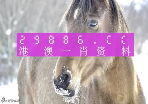 资讯 第13页