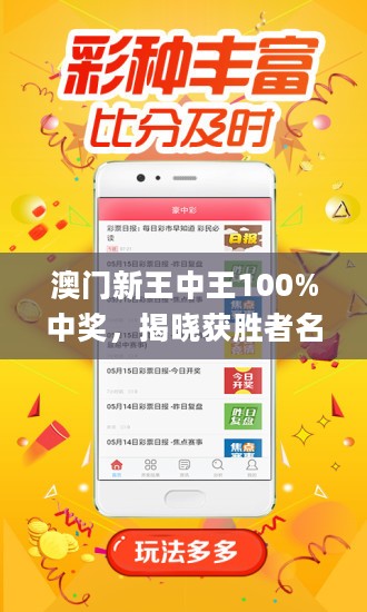 澳门王中王100期期中一期林,澳门王中王100期期中一期林，探索与揭秘