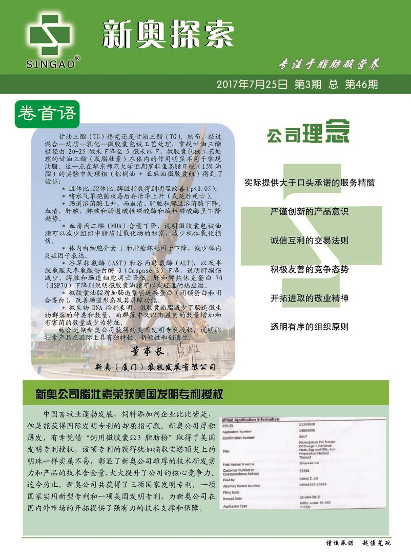 揭秘新奥精准资料免费大全，深度解析与精选资料概览（第078期）