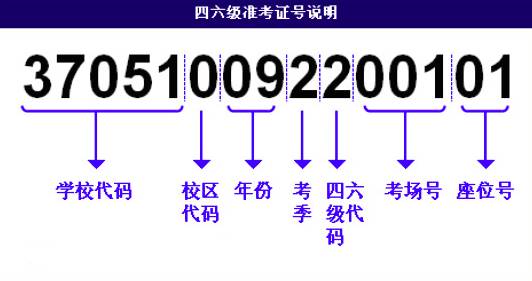 香港二四六开奖结果大全图片查询|精选资料解析大全