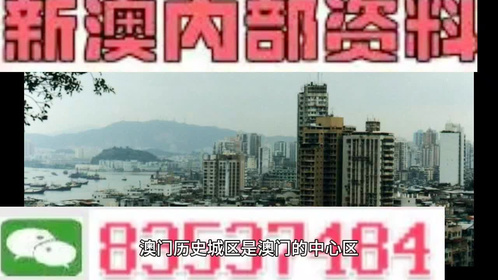 新澳门今晚开奖结果 开奖直播|精选资料解析大全