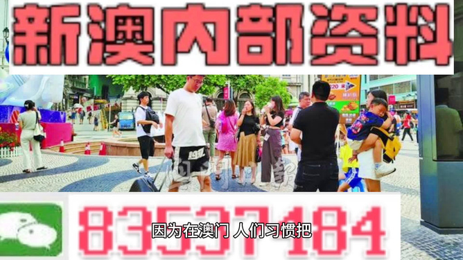 新澳2024正版资料免费公开|精选资料解析大全