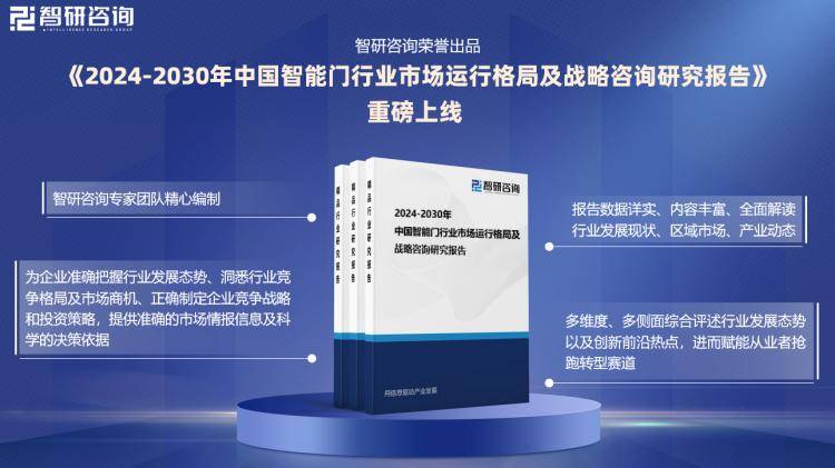 新门内部资料最新版本2024年|精选资料解析大全