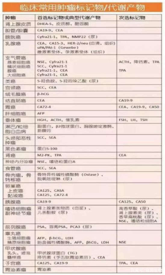 2024今晚最准四不像|精选资料解析大全