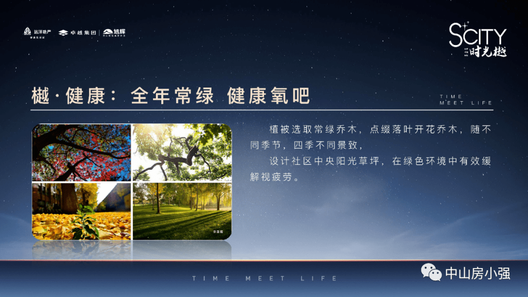 新澳门天天资料|精选资料解析大全