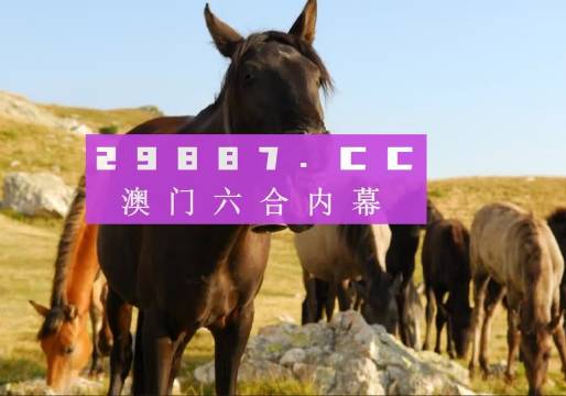 管家婆一肖一码中一肖|精选资料解析大全