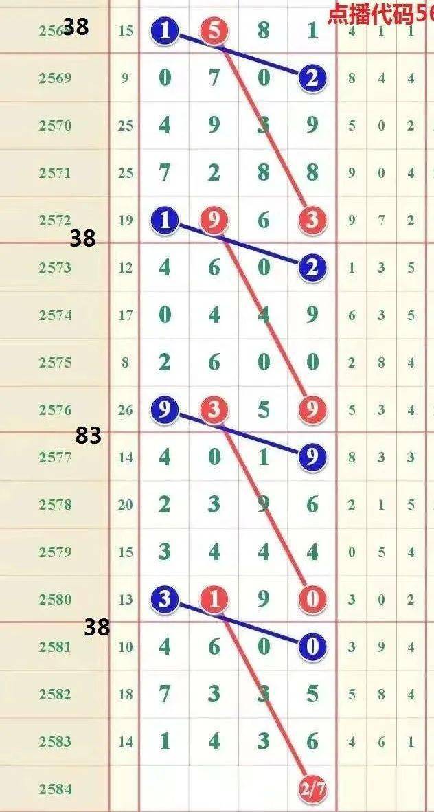 三肖必中特三肖三码的答案,三肖必中特三肖三码的答案，探索与解析