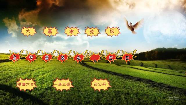 新澳门开奖结果2025开奖记录,澳门新开奖结果2023年记录与未来展望