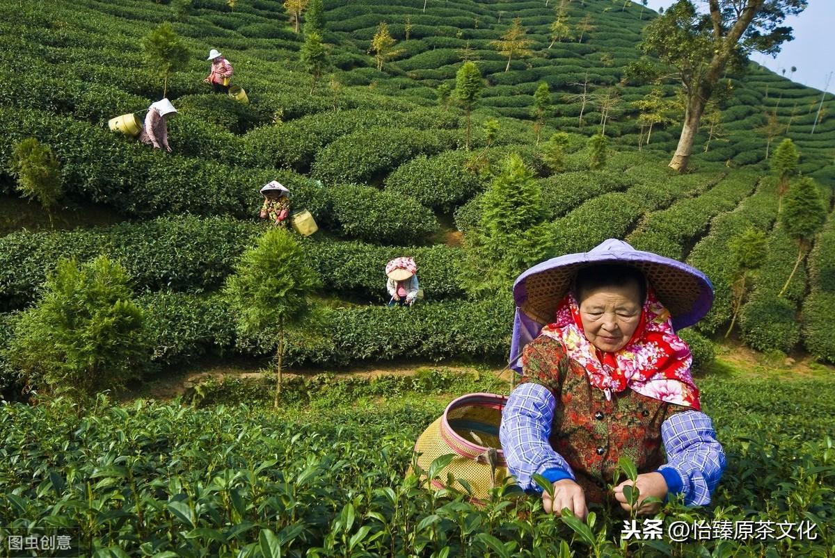 天天好采免费资料大全,天天好采免费资料大全，探索知识的宝库