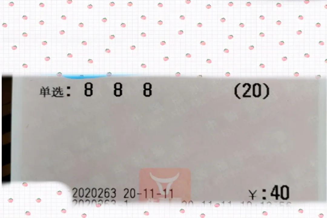 4949澳门今晚开奖结果查询,澳门彩票开奖结果查询，探索未知的幸运之门（4949今晚开奖）
