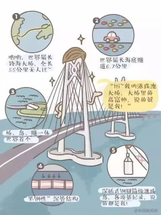 2025澳家婆一肖一特,探索未来，聚焦澳家婆与生肖特质的独特魅力到2025年