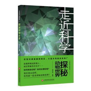 正版资料免费资料,正版资料与免费资料的探索