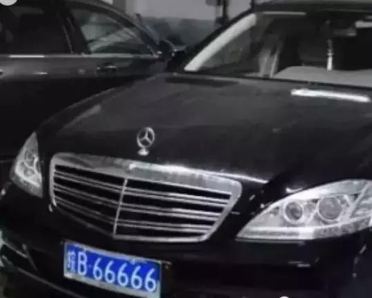 7777788888精准跑狗图正版,探索正版精准跑狗图，77777与88888的神秘世界