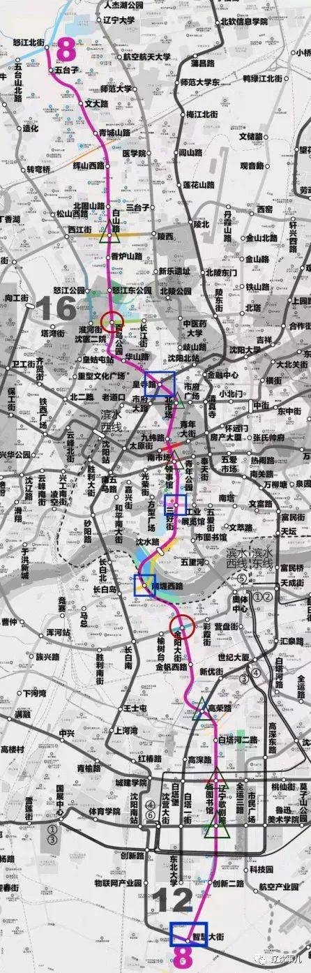 2025白小姐开奖结果今晚开奖,2023年白小姐彩票开奖结果今晚揭晓，期待与惊喜并存