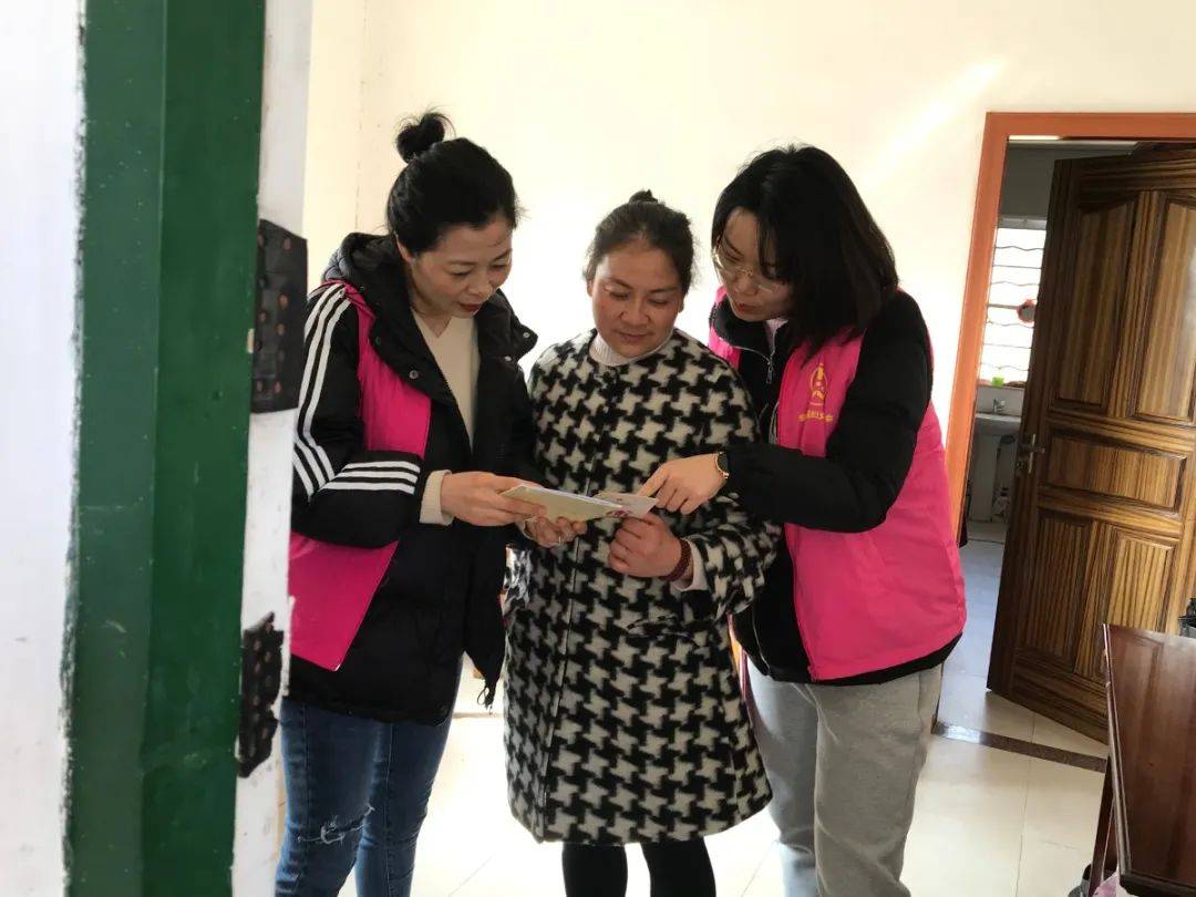 新澳门期期免费资料,新澳门期期免费资料，探索与解读