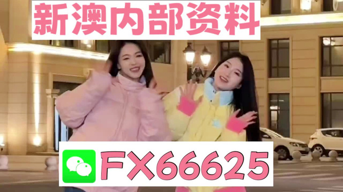 管家婆一码一肖资料大全一语中特,揭秘管家婆一码一肖资料大全，一语中的特色与奥秘