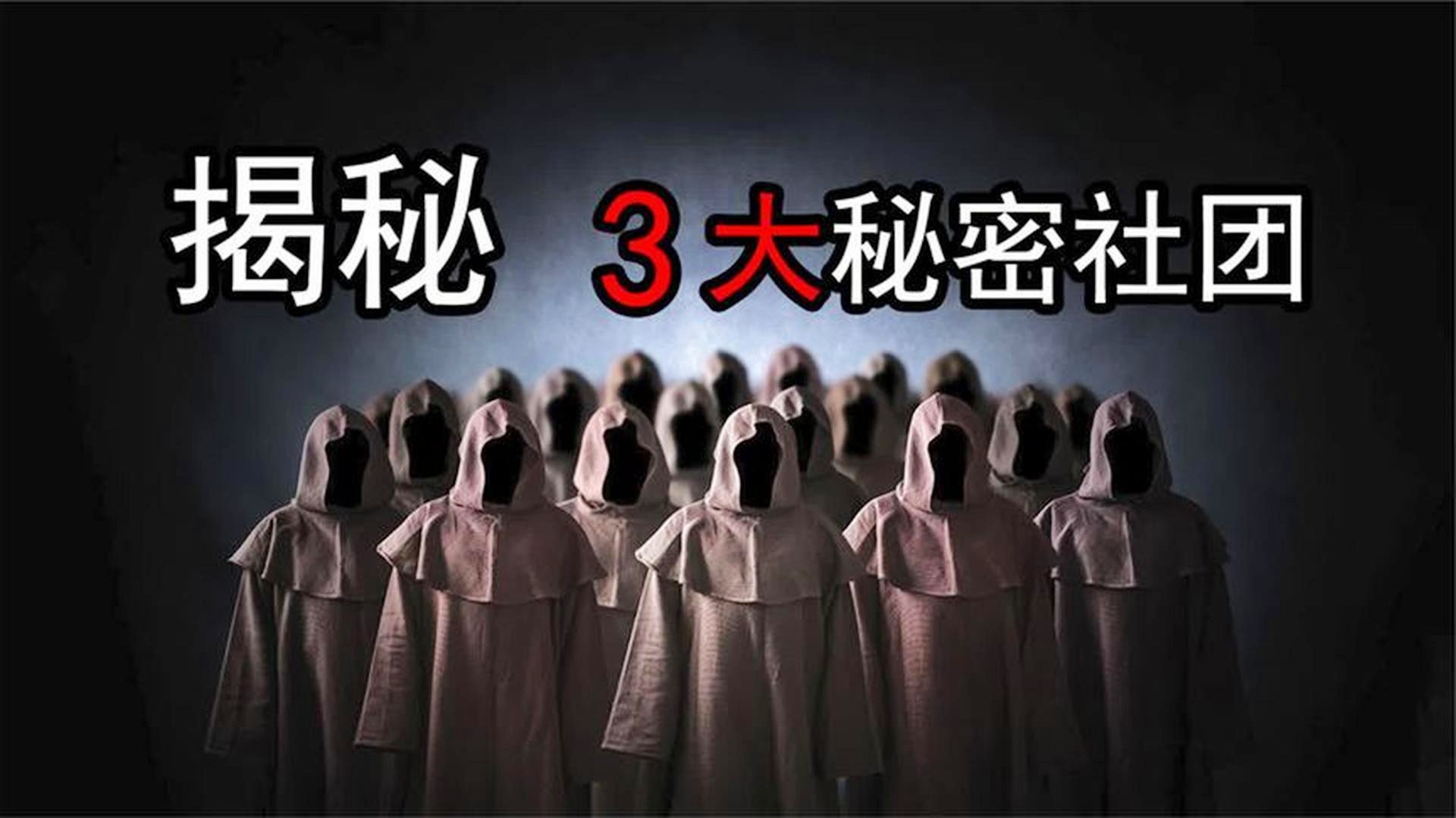 澳门管家婆四肖选一肖期期准,澳门管家婆四肖选一肖期期准，揭秘背后的秘密与真相