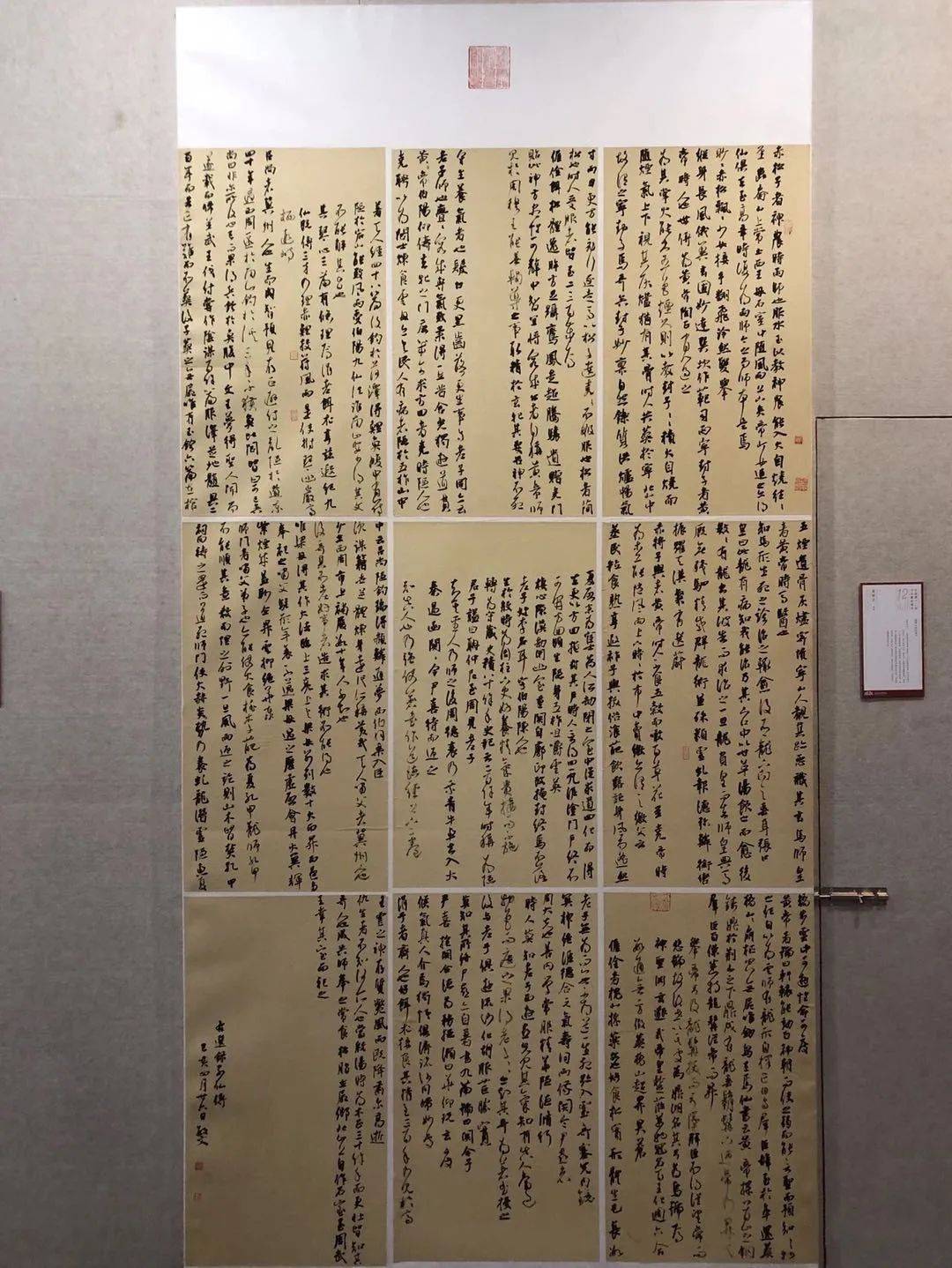 最准一码一肖100%精准的含义,揭秘最准一码一肖100%精准背后的含义与真相