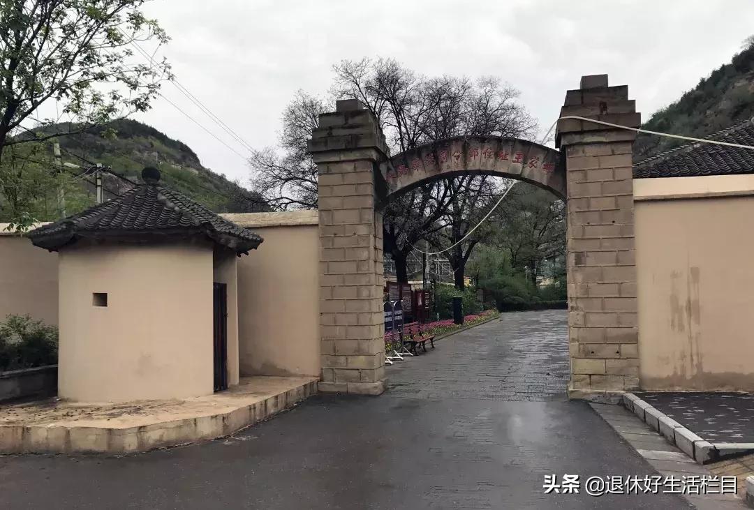 白小姐正版四不像中特小说,白小姐正版四不像中特小说，神秘世界的奇遇