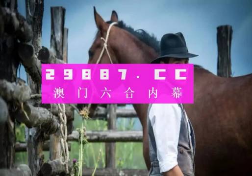 新奥门特免费资料查询,新澳门特免费资料查询，探索与揭秘