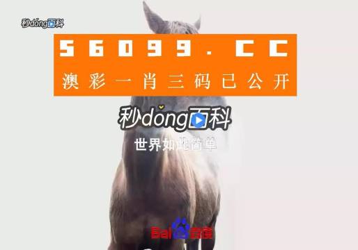 香港免费资料王中王资料,香港免费资料王中王资料，深度解析与实用指南