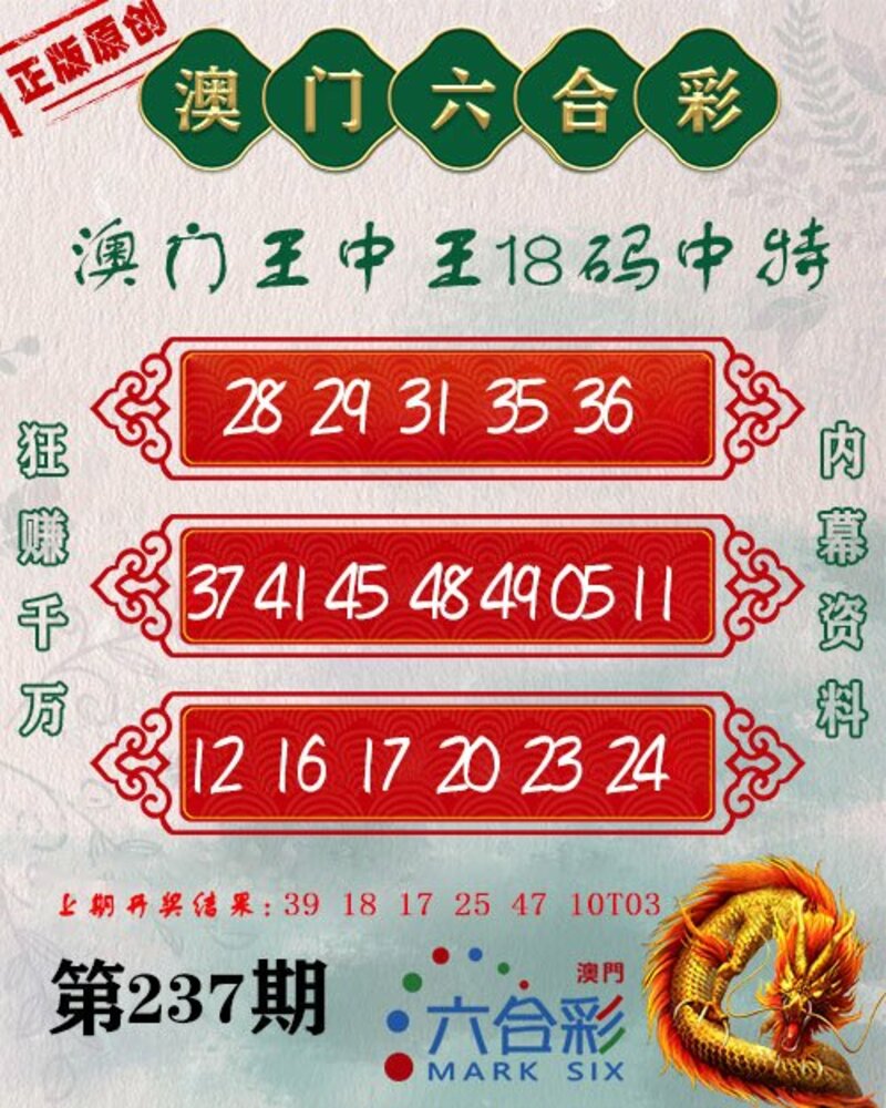 新澳门王中王王中王免费,新澳门王中王王中王免费，探索与解析