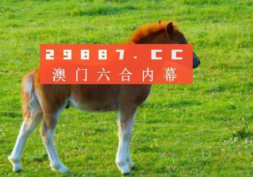 澳门必开一肖一码一中,澳门必开一肖一码一中，探寻背后的故事与奥秘