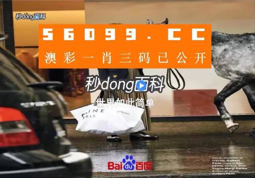新澳2025一肖一码道玄真人,新澳2025一肖一码道玄真人的神秘世界