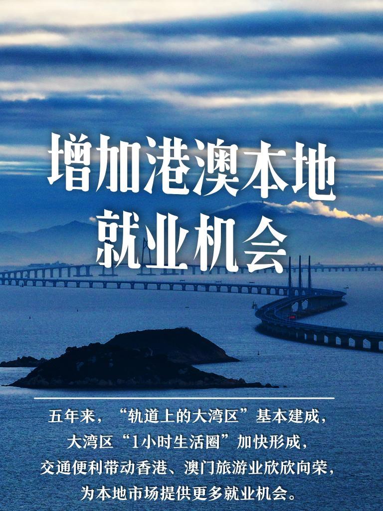 2025新澳门王中王正版,探索新澳门王中王正版，未来的机遇与挑战