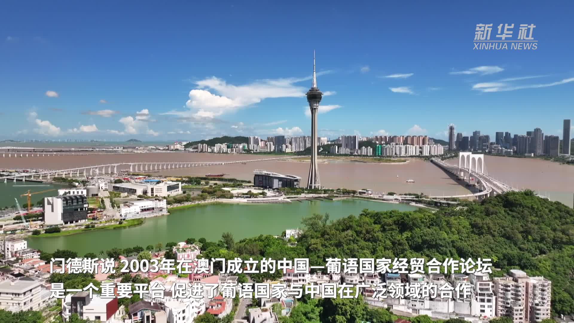 奥门特马特资料,澳门马特资料，探索澳门的历史、文化与现代发展