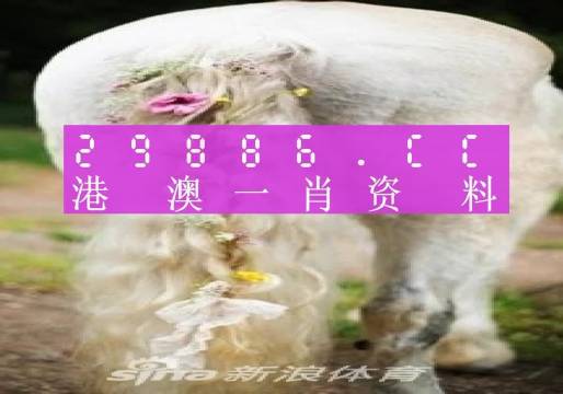 澳门王中王100的资料2023,澳门王中王100资料解析，探索2023年的全新面貌