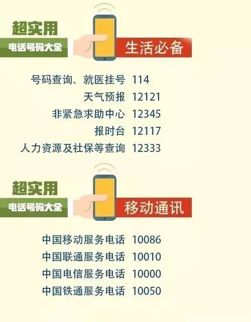 管家婆一票一码资料,管家婆一票一码资料的重要性与应用
