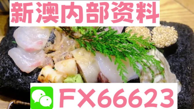 新澳精准资料免费提供网站有哪些,探索新澳精准资料提供的免费网站，信息海洋中的宝藏之地