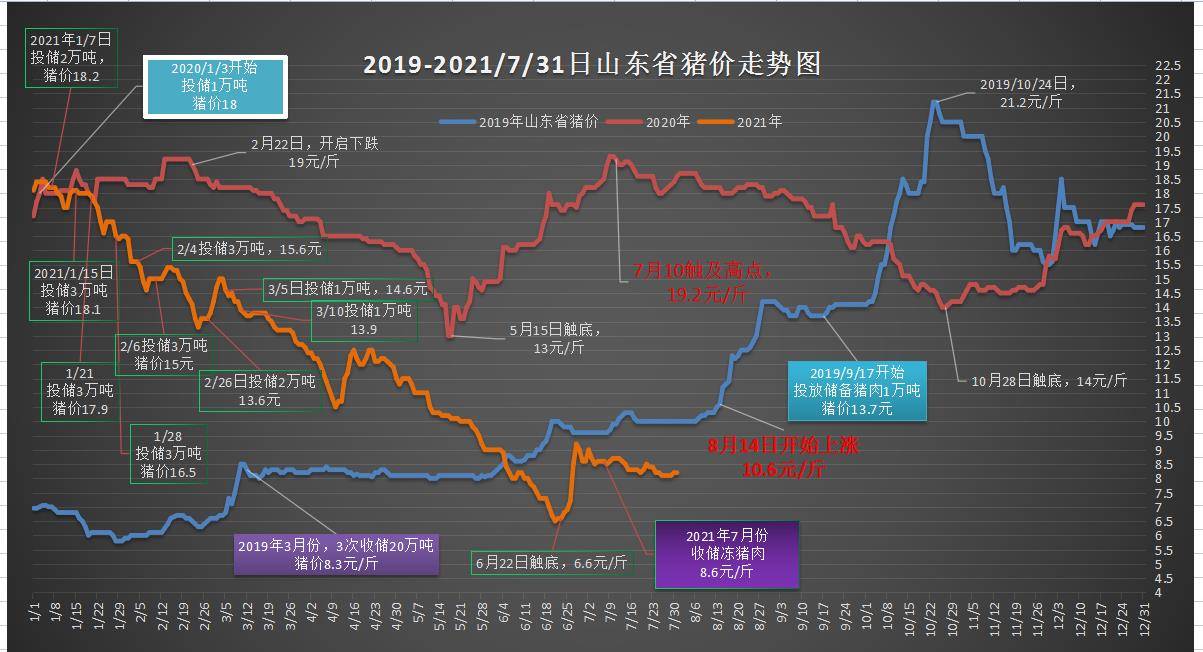 2025澳门特马今晚开奖图纸,澳门特马今晚开奖图纸——探索未来的彩票文化