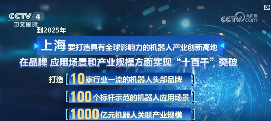 2025年新奥开奖结果,揭秘2025年新奥开奖结果，幸运与梦想的实现