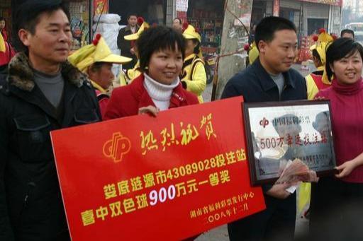 香港澳门开奖结果,香港澳门开奖结果，揭秘彩票背后的故事