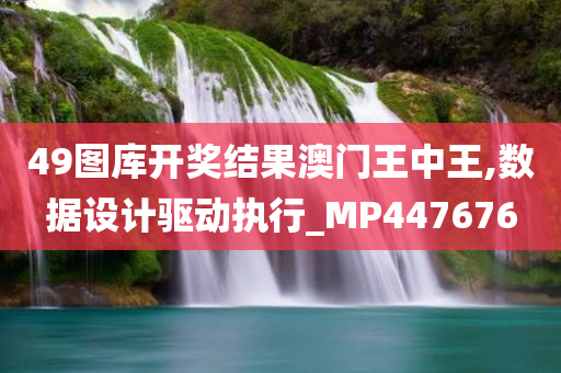 2025年新奥正版免费,迈向2025，新奥正版免费的未来展望