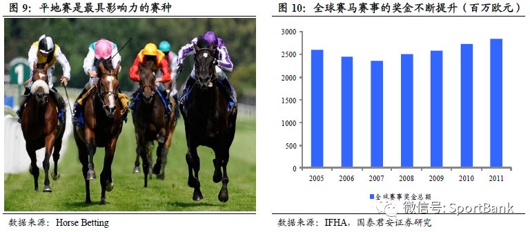 2025澳门买马最准网站,探索澳门赛马文化，关于澳门买马最准网站的深度解析