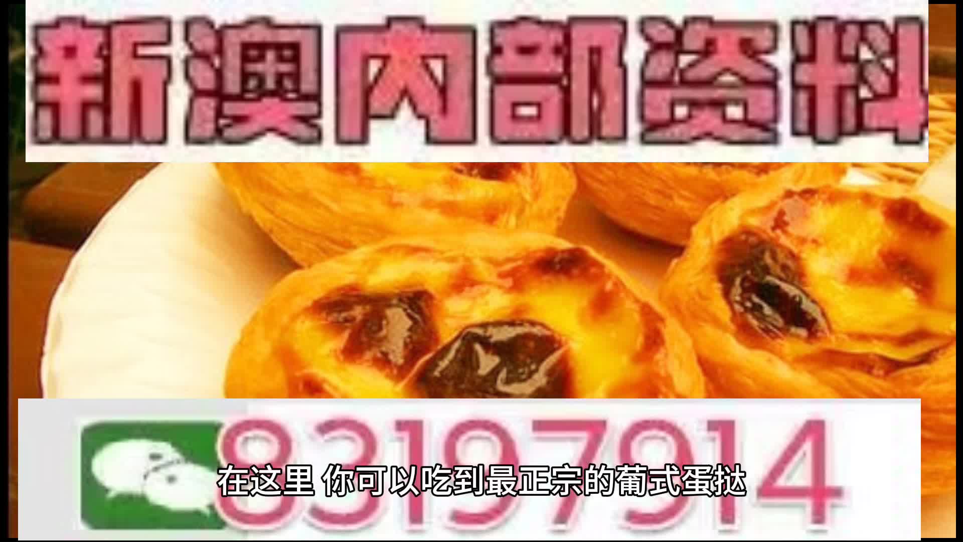 新澳门一码中中特,新澳门一码中中特，探索、发展与展望